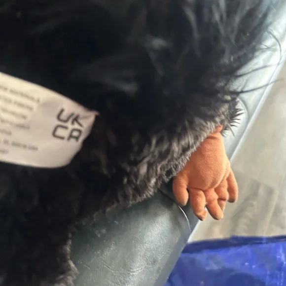 Fantastic Beasts Plush Niffler Harry Potter 11” Black Stuffed Animal - Picture 8 of 8